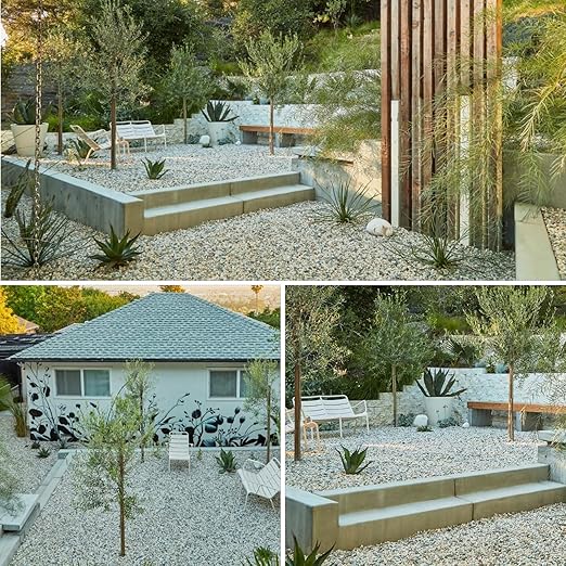 2lbs Mixed Color Pebbles for Plants, 3/8inch Small Rocks for Succulent Cactus Planters, Natural Polished Pebbles, River Rocks for Plants, Vases, Garden