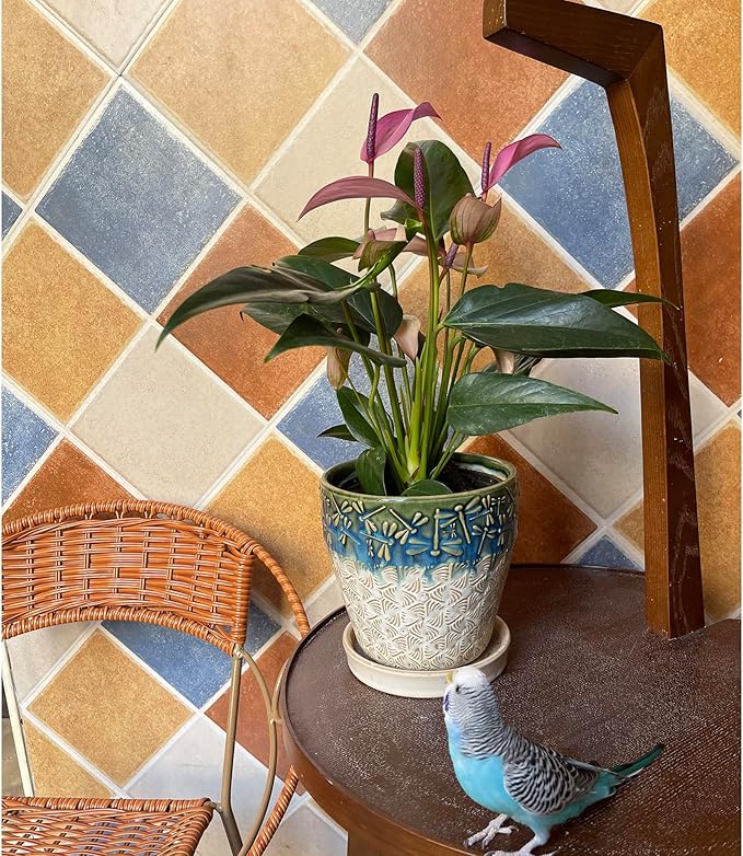 6 Inch + 5 Inch Ceramic Planter with Drainage Hole and Saucer for Plants, Indoor-Outdoor Round Succulent Orchid Garden Flower Pot - Set of 2