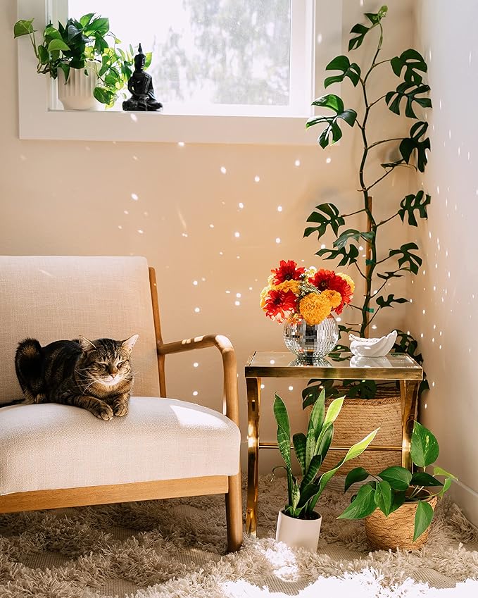 Hanging Disco Ball Planter 8" - with Acrylic Stand and Macrame Plant Hanger - Home Décor, Room Décor, Mirror Disco Planter, Disco Decor (6" with White Hanger, Flat Base)