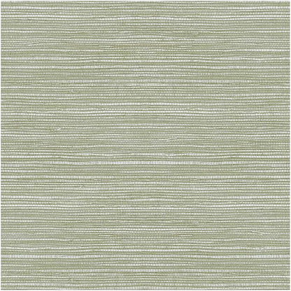 Superfresco Easy Emperor Grasscloth Sage Wallpaper by SuperfrescoEasy