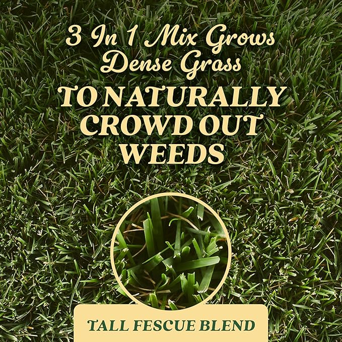 O.M. Scott and Sons Tall Fescue Blend Grass Seed, Fertilizer and Soil Improver, Naturally Crowds Out Weeds, Covers Up to 2,000 sq. ft., 8 lbs.