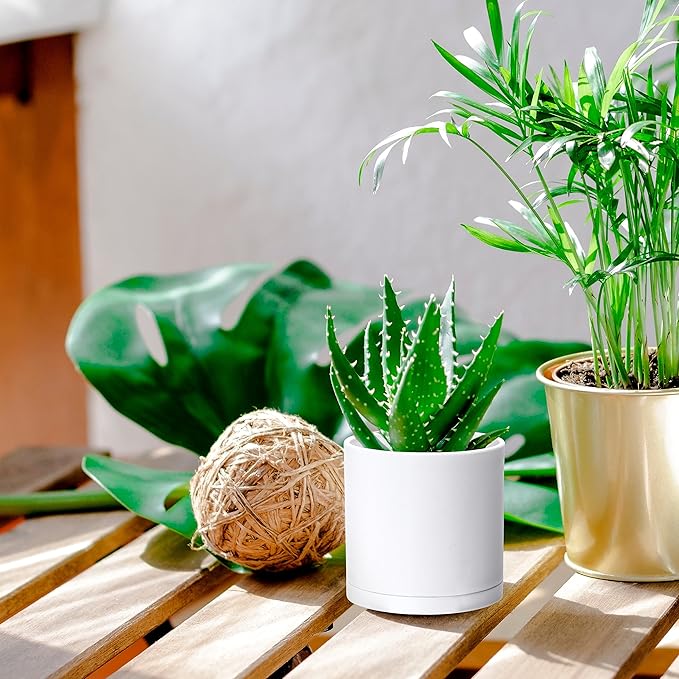 D'vine Dev 4 Pack 4.5 Inch Modern Plastic Plant Pots, Small Garden Planters for Plant with Drainage Holes and Saucers, White Color, 74-Z-F-2