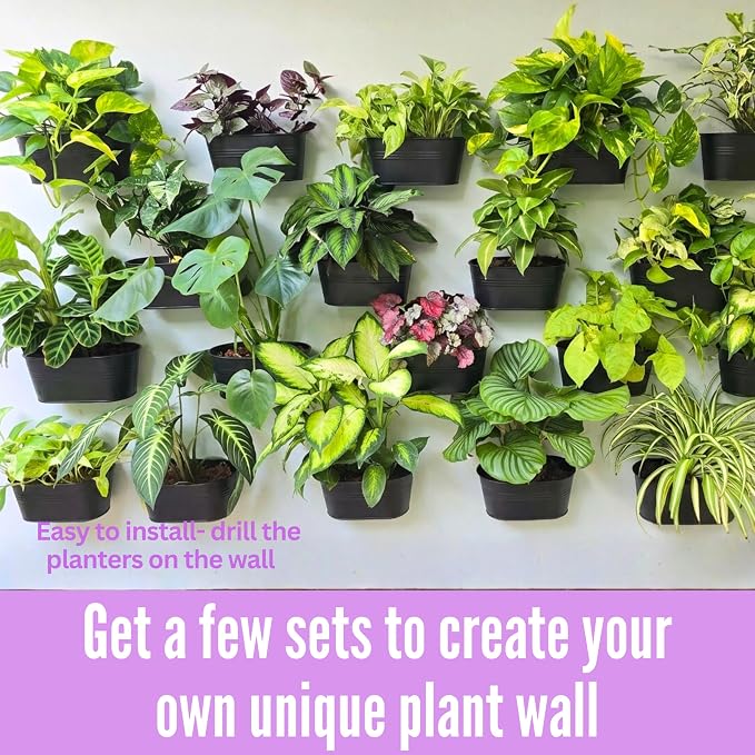 LaLaGreen Wall Planter Black Oval Metal Hanging Decor Plant Holder Indoor Wall - Image 3