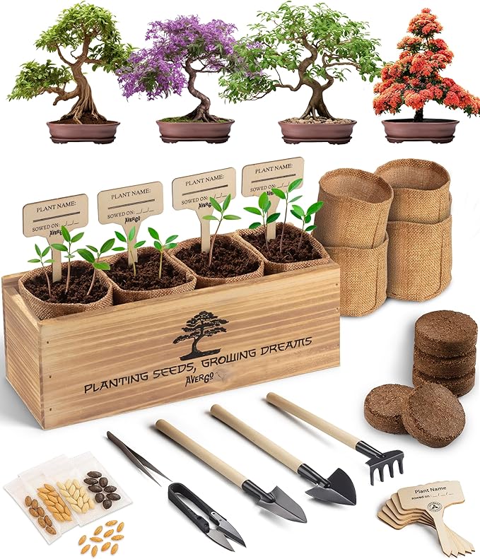 Bonsai Tree Kit – 4X Unique Japanese Bonzai Trees | Complete Indoor Starter Kit for Growing Bonsai Plants with Tools & Planters – Gardening Gifts for Women & Men