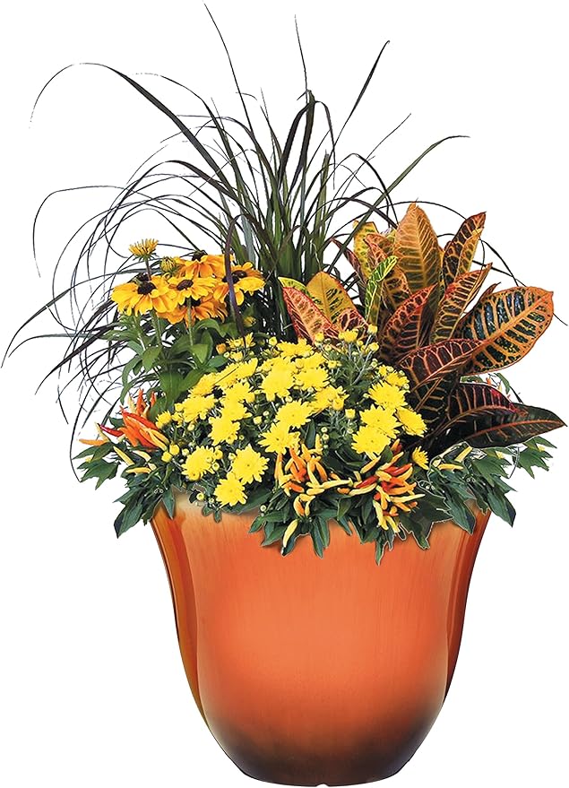 Classic Home and Garden Honeysuckle Resin Flower Pot Planter, Tequila Sunrise, 15" (Pack of 2)