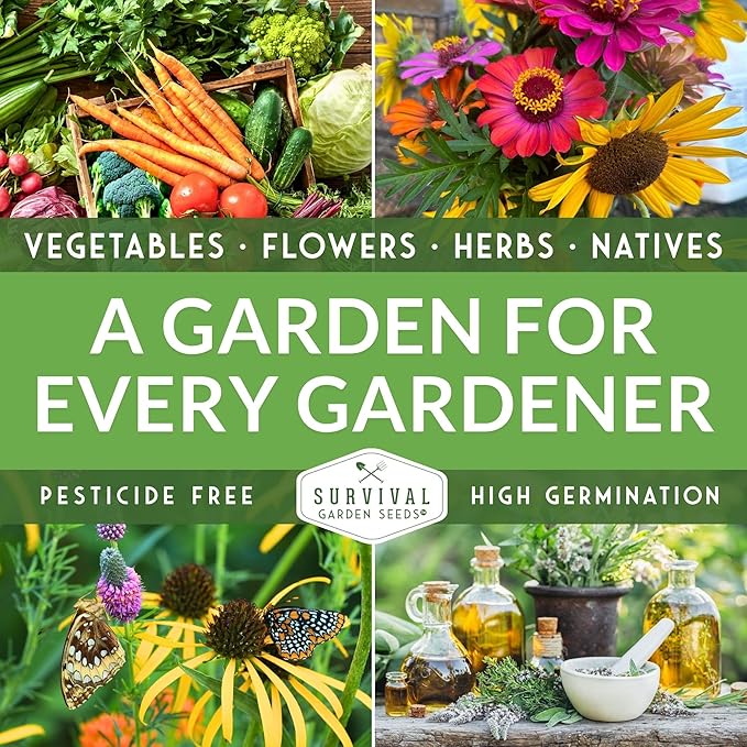 Survival Garden Seeds 10 Flower Collection - Four O’Clock, Chamomile, Shasta Daisy, Purple Coneflower, Marigold, Morning Glory, Nasturtium, Snapdragon, Sunflower, Zinnia - Non-GMO Heirloom Varieties