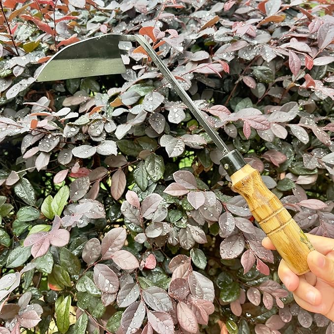 12 Inch Japanese Gardening Hand Weeding Sickle, Weeding Hoe with Long Wooden Handle