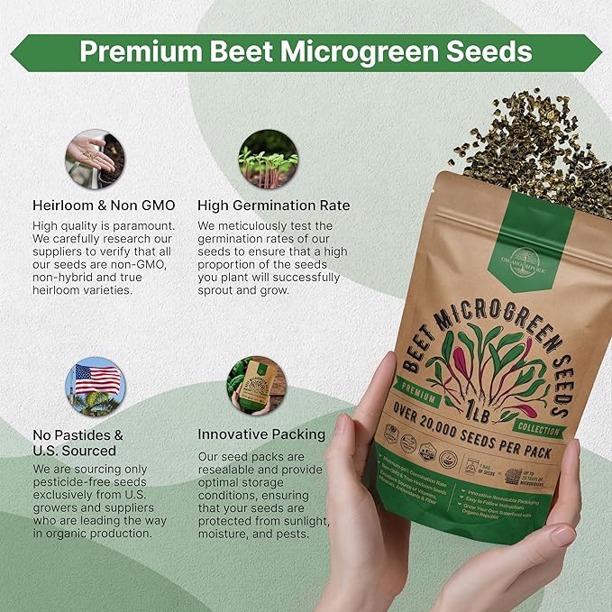 Organo Republic Beet Sprouting & Microgreens Seeds - 20,000 Non GMO Heirloom Seeds, Sprouts in Bulk 1lb Resealable Bag for Planting and Growing in Soil, Coconut Coir, Aeroponic & Hydroponic System