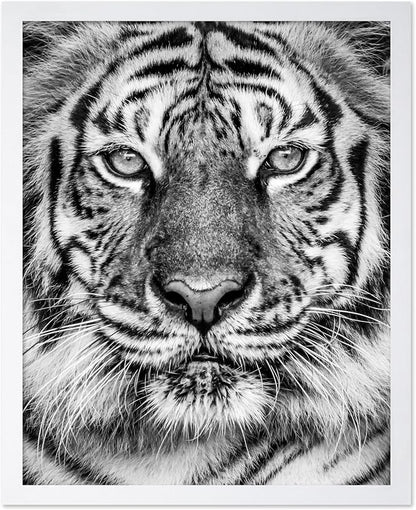 Poster Master Vintage Tiger Face Print by PosterMaster