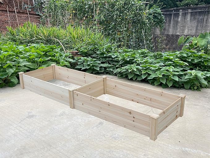 BTExpert 8ft x 2ft Horticulture Raised Garden Beds Elevated Planting Divisible Large Wooden Planter Box Kit Stand for Vegetable Herbs Flower Backyard Patio Balcony Bed Liner Outdoor Clear Natural Wood
