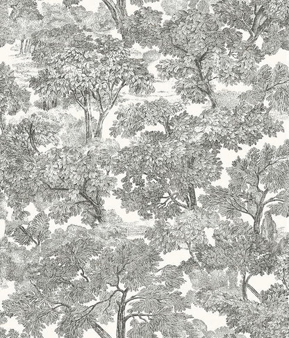 Chesapeake Black Spinney Toile Wallpaper, Strippable, 20.5 in x 33 ft by Chesapeake