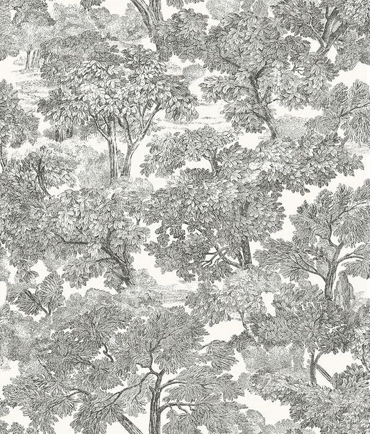 Chesapeake Black Spinney Toile Wallpaper, Strippable, 20.5 in x 33 ft by Chesapeake